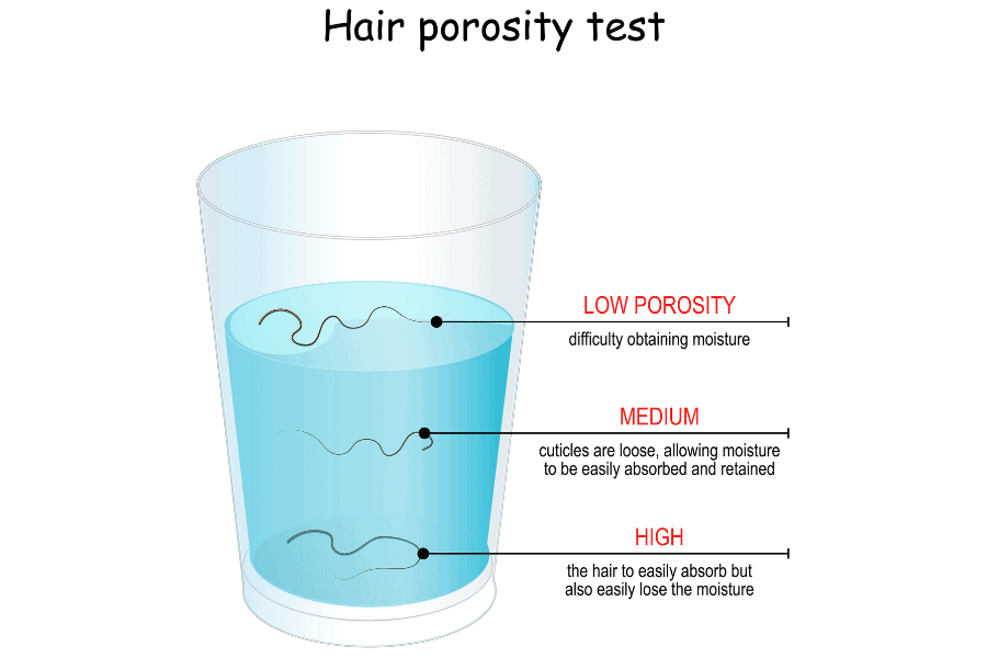 Hair Porosity: Learn How Your Hair Absorbs Moisture – EDEN BodyWorks